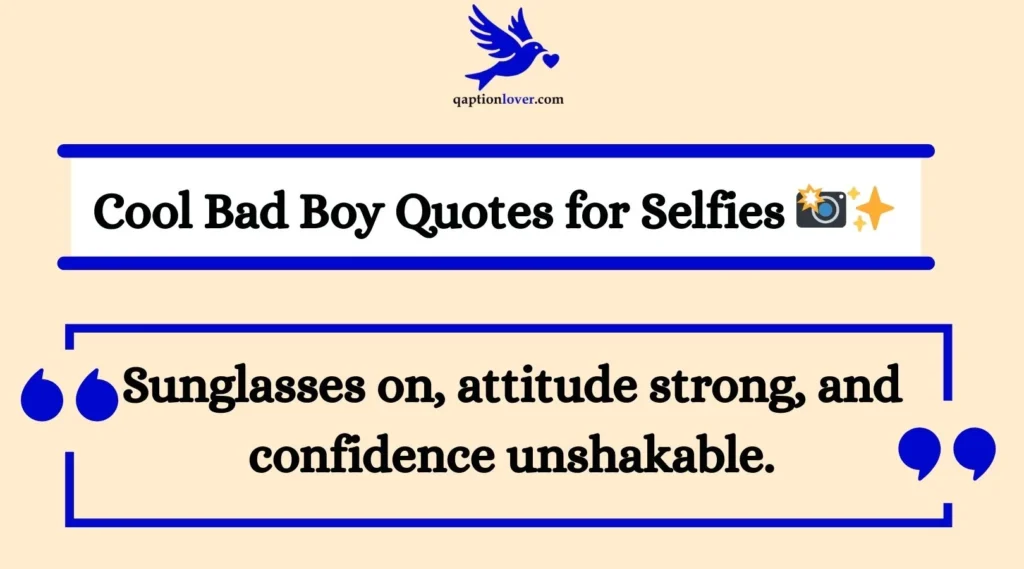 Cool Bad Boy Quotes for Selfies