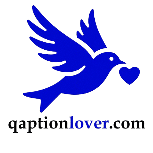 qaptionlover.com