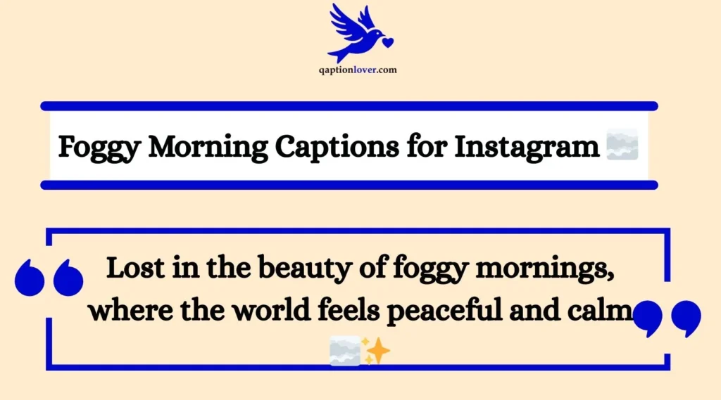 Foggy Morning Captions for Instagram