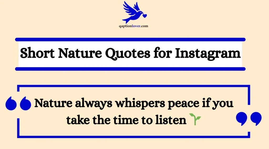 Nature always whispers peace if you take the time to listen