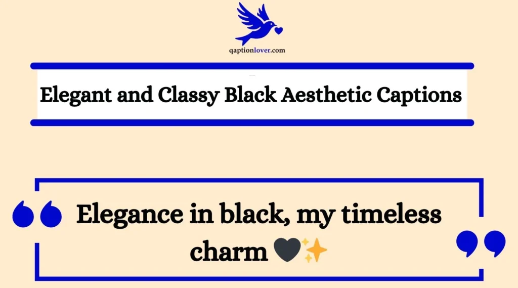 Elegant and Classy Black Aesthetic Captions