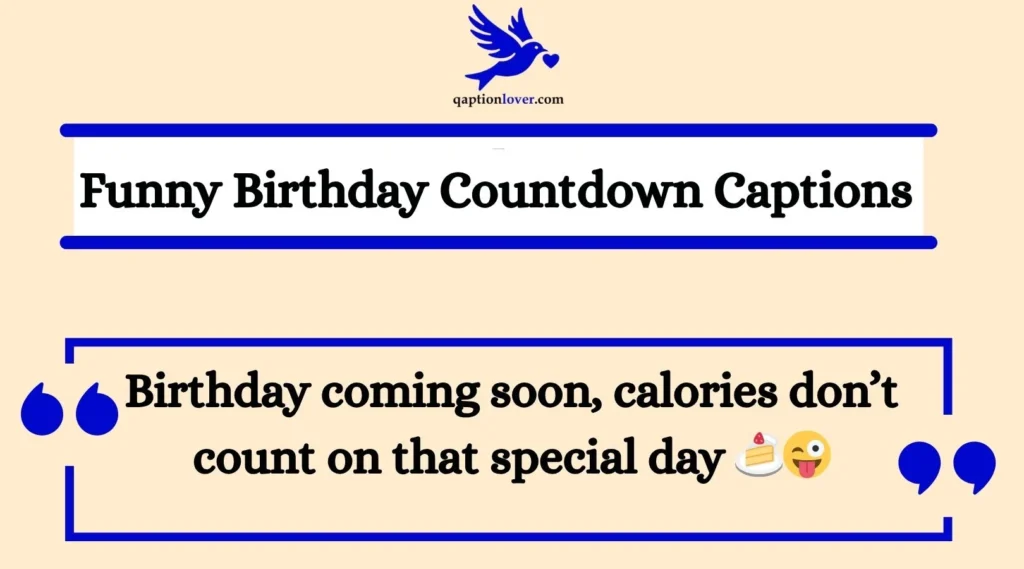 Funny Birthday Countdown Captions