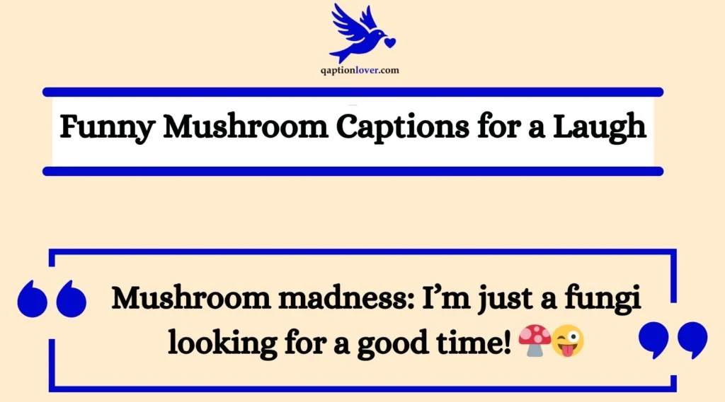 Funny Mushroom Captions for a Laugh