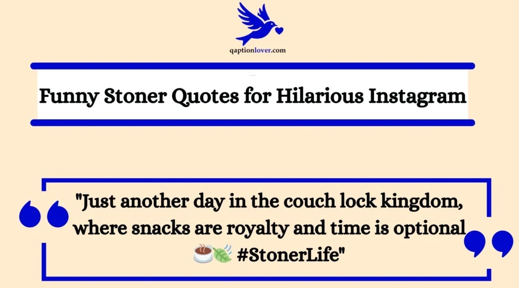 Funny Stoner Quotes for Hilarious Instagram