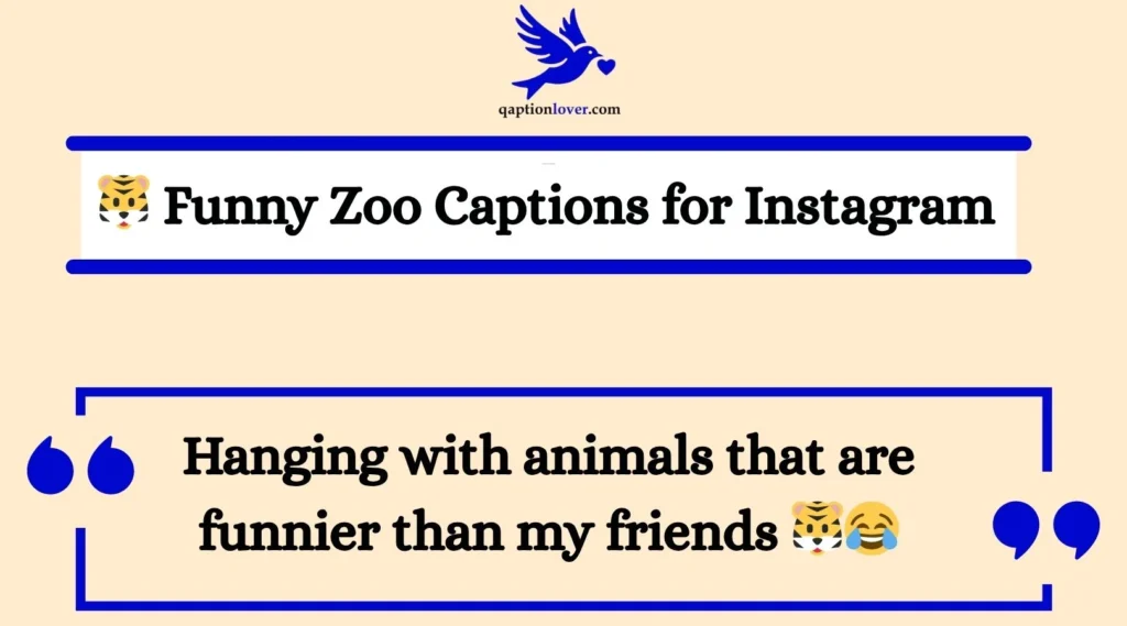 Funny Zoo Captions for Instagram