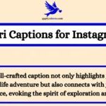 Safari Captions for Instagram