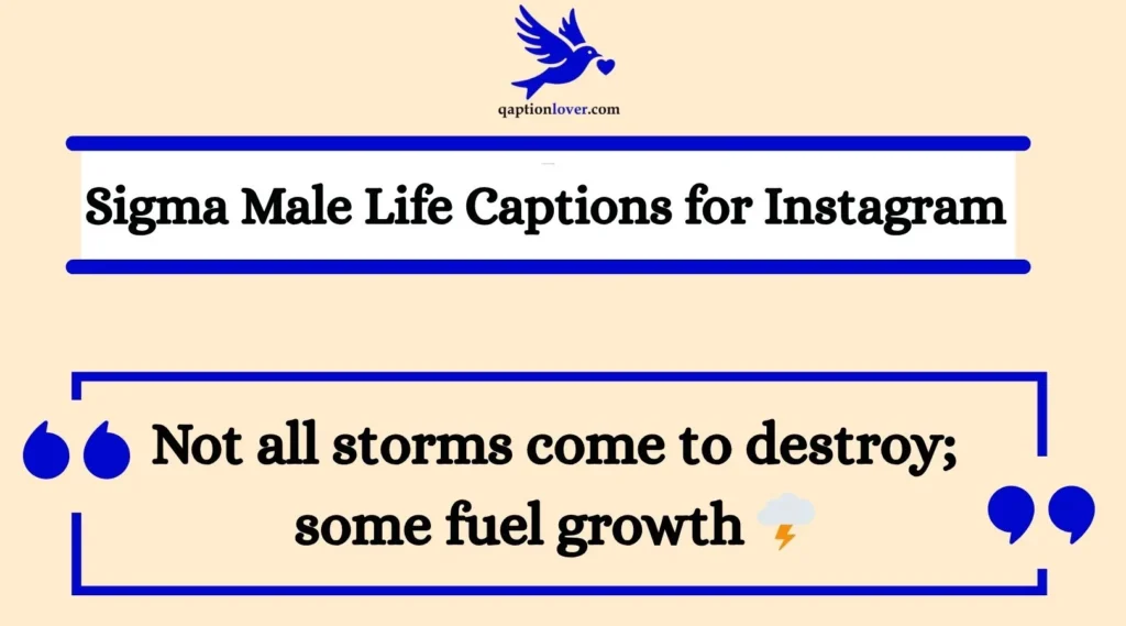 Sigma Male Life Captions for Instagram
