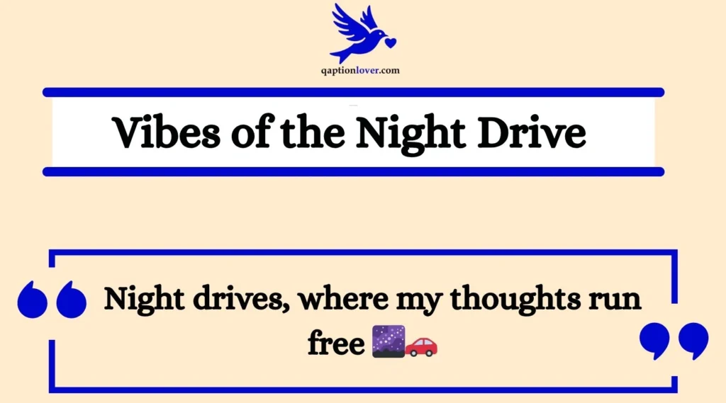 Vibes of the Night Drive