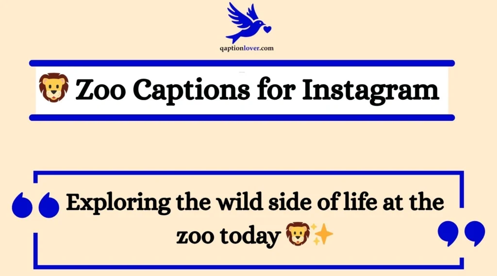 Zoo Captions for Instagram