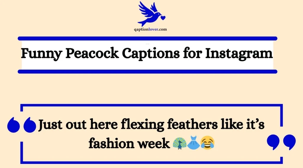 Funny Peacock Captions for Instagram