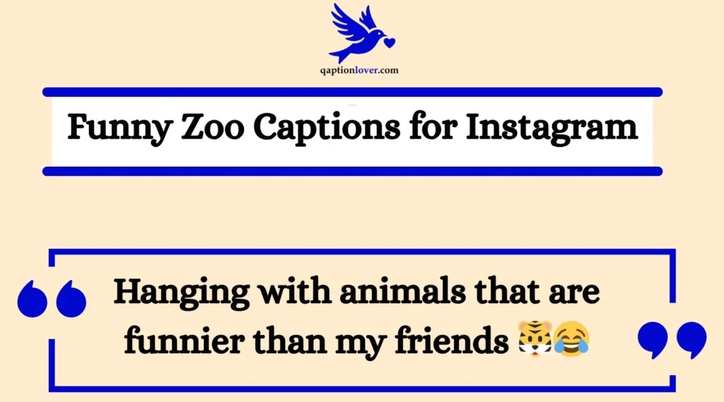 Funny Zoo Captions for Instagram