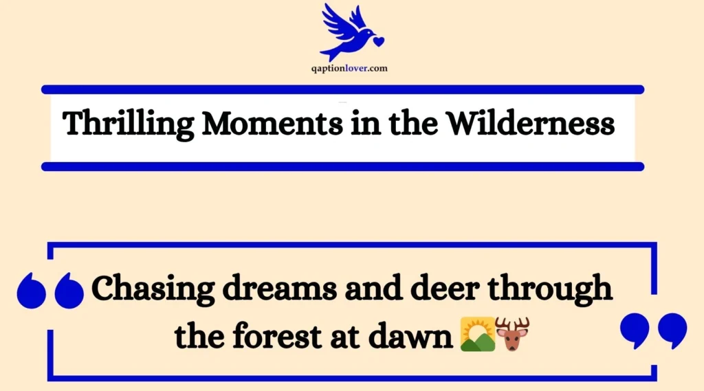 Thrilling Moments in the Wilderness