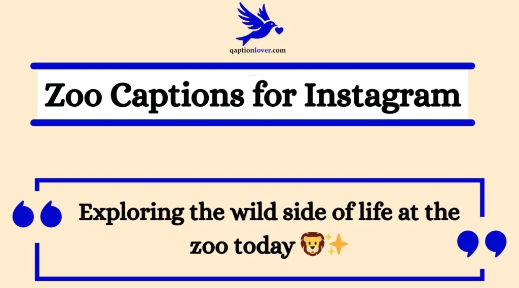 Zoo Captions for Instagram